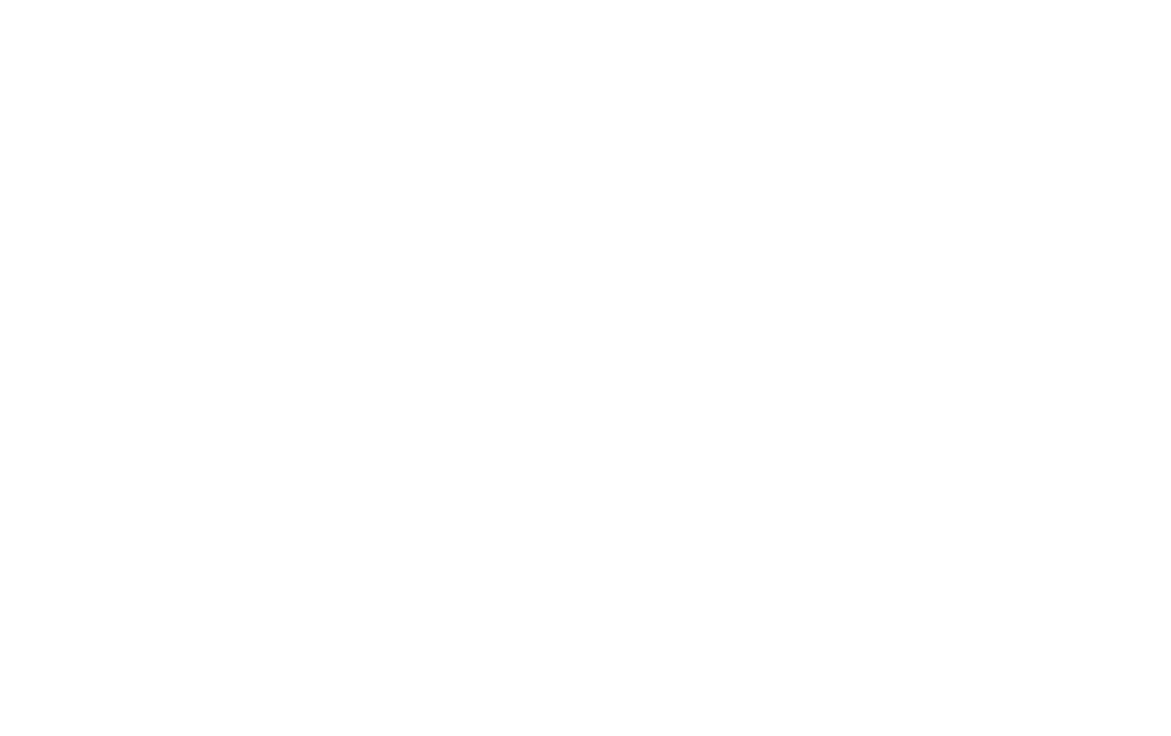 ritter