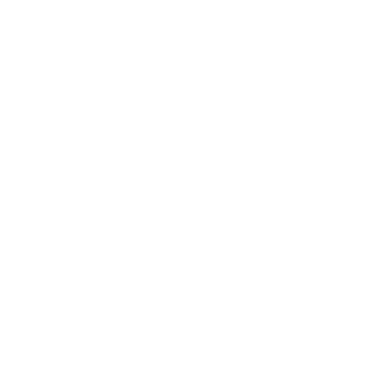 Slim Jim